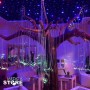 Árbol Iluminado de Fibra Óptica de Estimulación Multisensorial CEMS | Médica Store